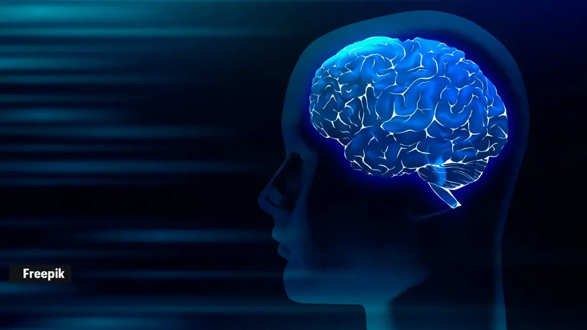 Chinese Brain-Mapping Chip Claims 478 Times NVIDIA A100 Speed Without Clinical Proof